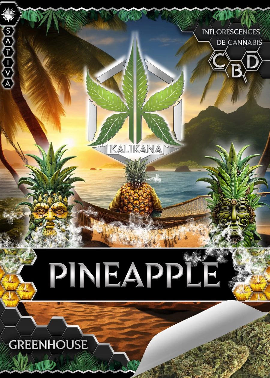 Pineapple - Greenhouse