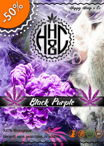Black Purple - GreenHouse - Happy Hemp & Co