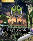 New York Diesel - GreenHouse - Happy Hemp & Co