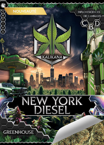 New York Diesel - GreenHouse