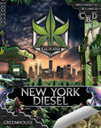 New York Diesel - GreenHouse - Happy Hemp & Co