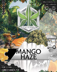 Pop Corn Mango Haze - GreenHouse - Happy Hemp & Co
