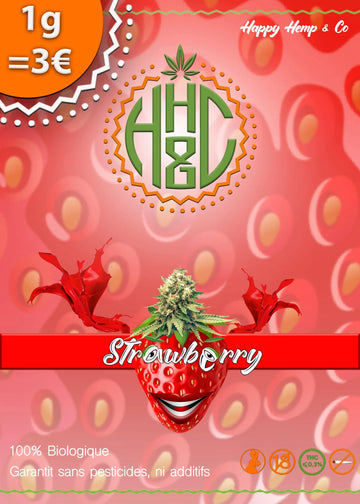 Strawberry - GreenHouse - Happy Hemp & Co