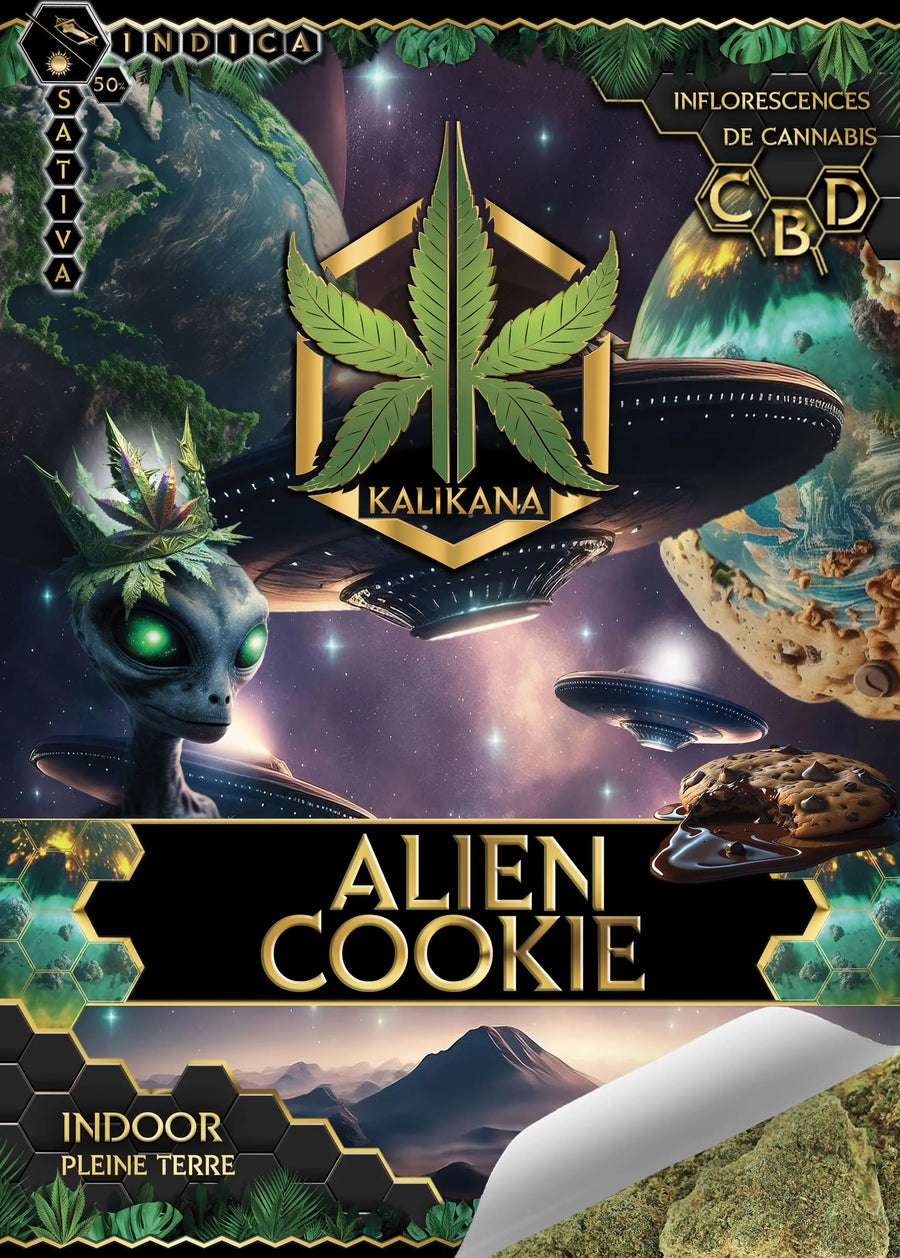 Alien Cookie  - Indoor