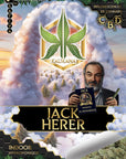 Jack Herer - Indoor - Happy Hemp & Co