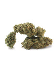 New York Diesel - GreenHouse - Happy Hemp & Co