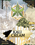 Pop Corn Kali Cream - Indoor - Happy Hemp & Co