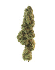Shiva Skunk - GreenHouse - Happy Hemp & Co