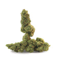 Shiva Skunk - GreenHouse - Happy Hemp & Co