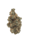 Banana Moon - Indoor - Happy Hemp & Co