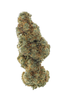 Gorilla Glue - Indoor - Happy Hemp & Co