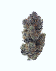 Purple Haze - Indoor - Happy Hemp & Co