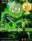Gorilla Glue - Indoor - Happy Hemp & Co