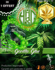 Gorilla Glue - Indoor - Happy Hemp & Co