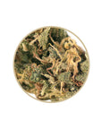 TropiCanna - Outdoor - Happy Hemp & Co