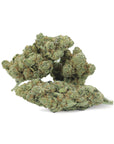Jack Herer - Indoor - Happy Hemp & Co