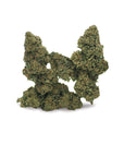Lemon Haze - GreenHouse - Happy Hemp & Co