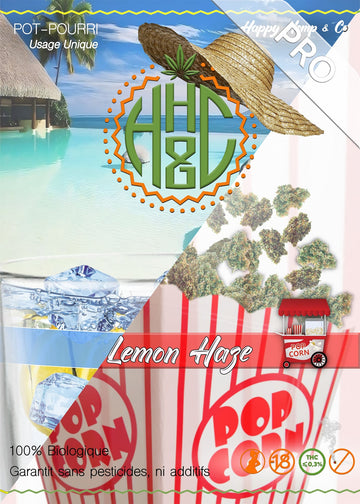 Pop Corn Lemon Haze - GreenHouse / Pro - Happy Hemp & Co