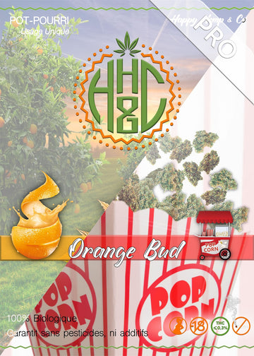 Pop Corn Orange Bud - GreenHouse / Pro - Happy Hemp & Co
