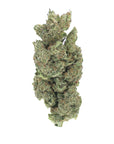 Super Silver Haze - Indoor - Happy Hemp & Co