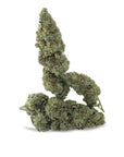 Amnesia - GreenHouse - Happy Hemp & Co