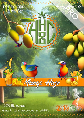 Mango Haze - GreenHouse / Pro - Happy Hemp & Co
