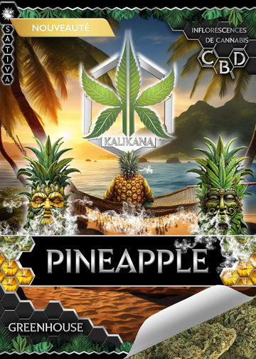 Pineapple - Greenhouse