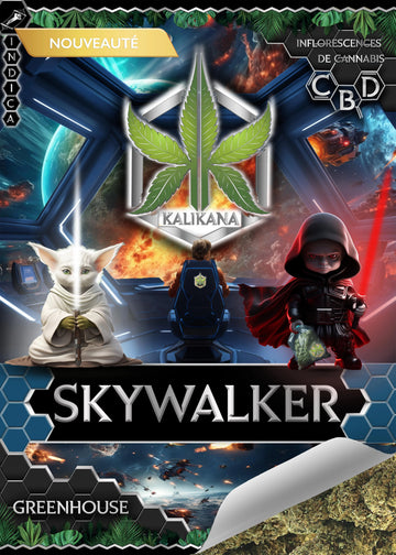 Skywalker - GlassHouse