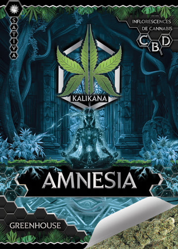 Amnesia - GreenHouse