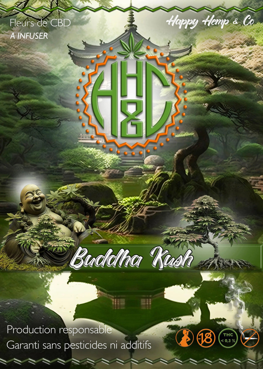 Buddha Kush - GreenHouse - Happy Hemp & Co