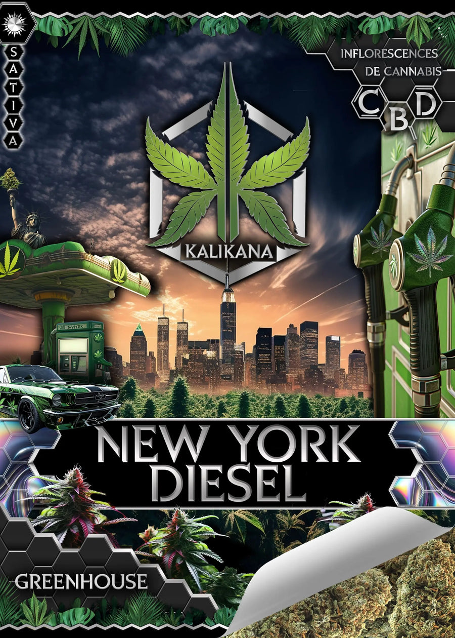New York Diesel - GreenHouse