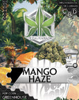 Pop Corn Mango Haze - GreenHouse