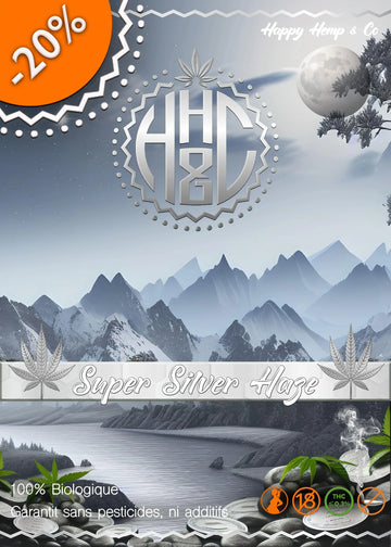Super Silver Haze - Indoor - Happy Hemp & Co