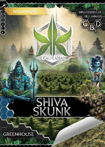 Shiva Skunk - GreenHouse