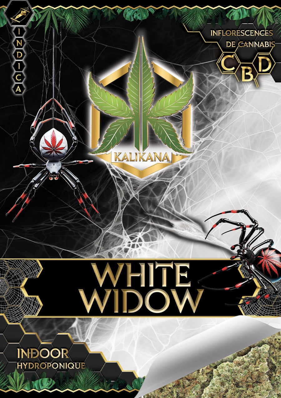 White Widow - Indoor - Happy Hemp & Co