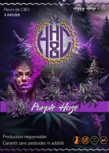 Purple Haze - Indoor - Happy Hemp & Co
