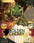 Pop Corn Golden Cherry - Indoor