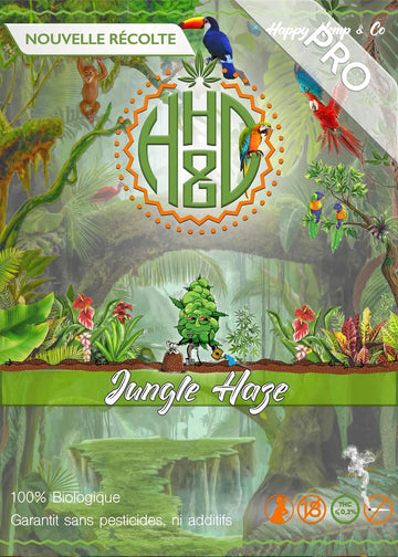 Jungle Haze - Outdoor / Pro - Happy Hemp & Co