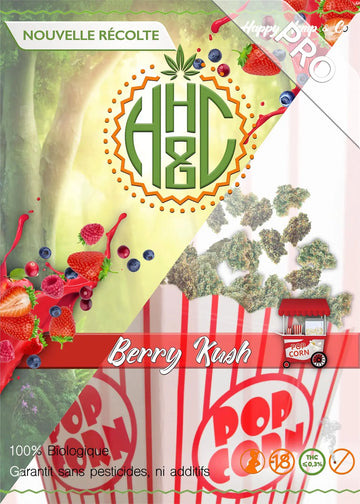 Pop Corn Berry Kush - GreenHouse / Vrac Pro - Happy Hemp & Co