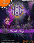 Purple Haze - Indoor