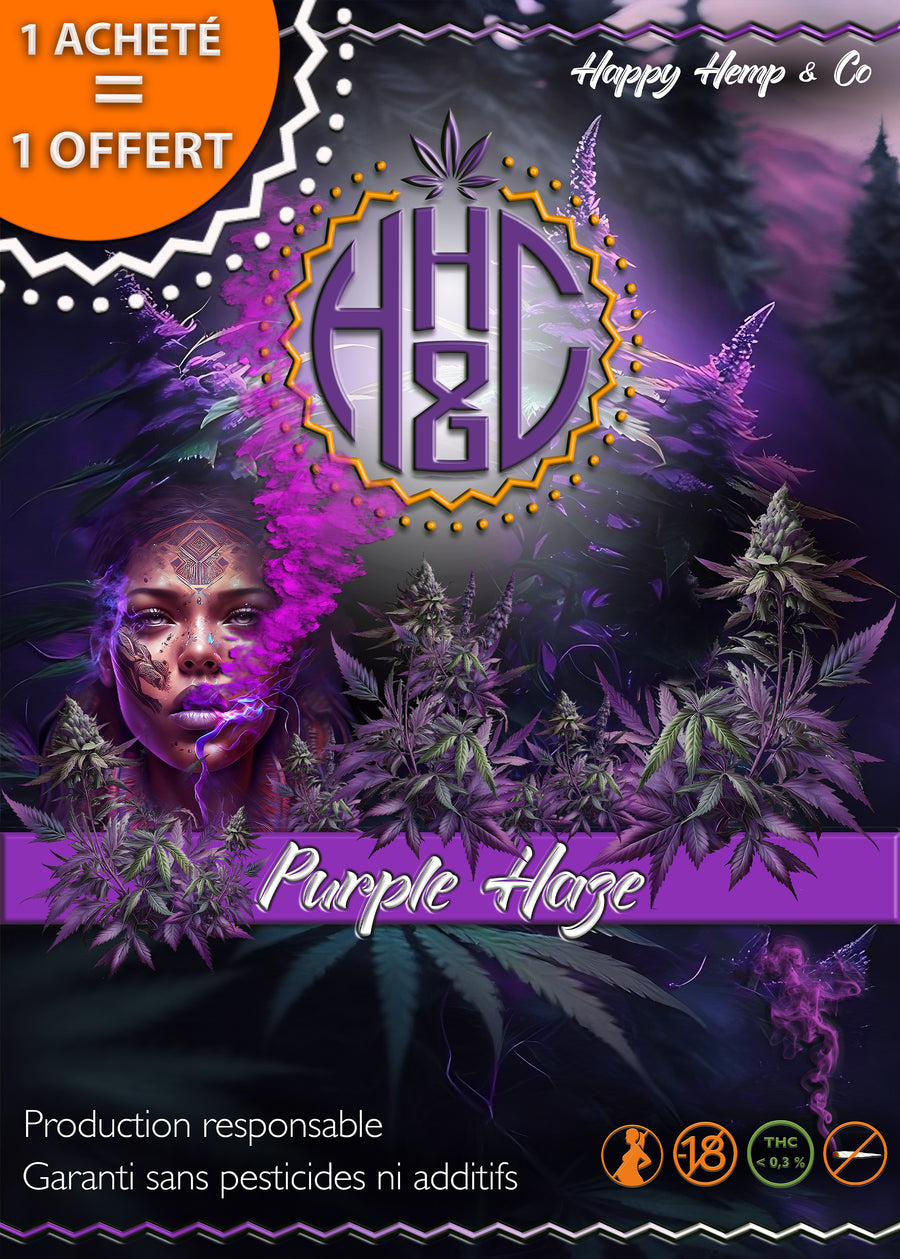 Purple Haze - Indoor