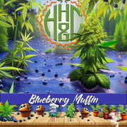 Blueberry Muffin - GreenHouse - Happy Hemp & Co