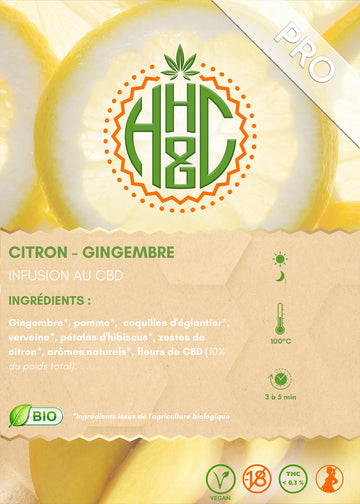 Infusion Citron Gingembre Bio / Pro - Happy Hemp & Co