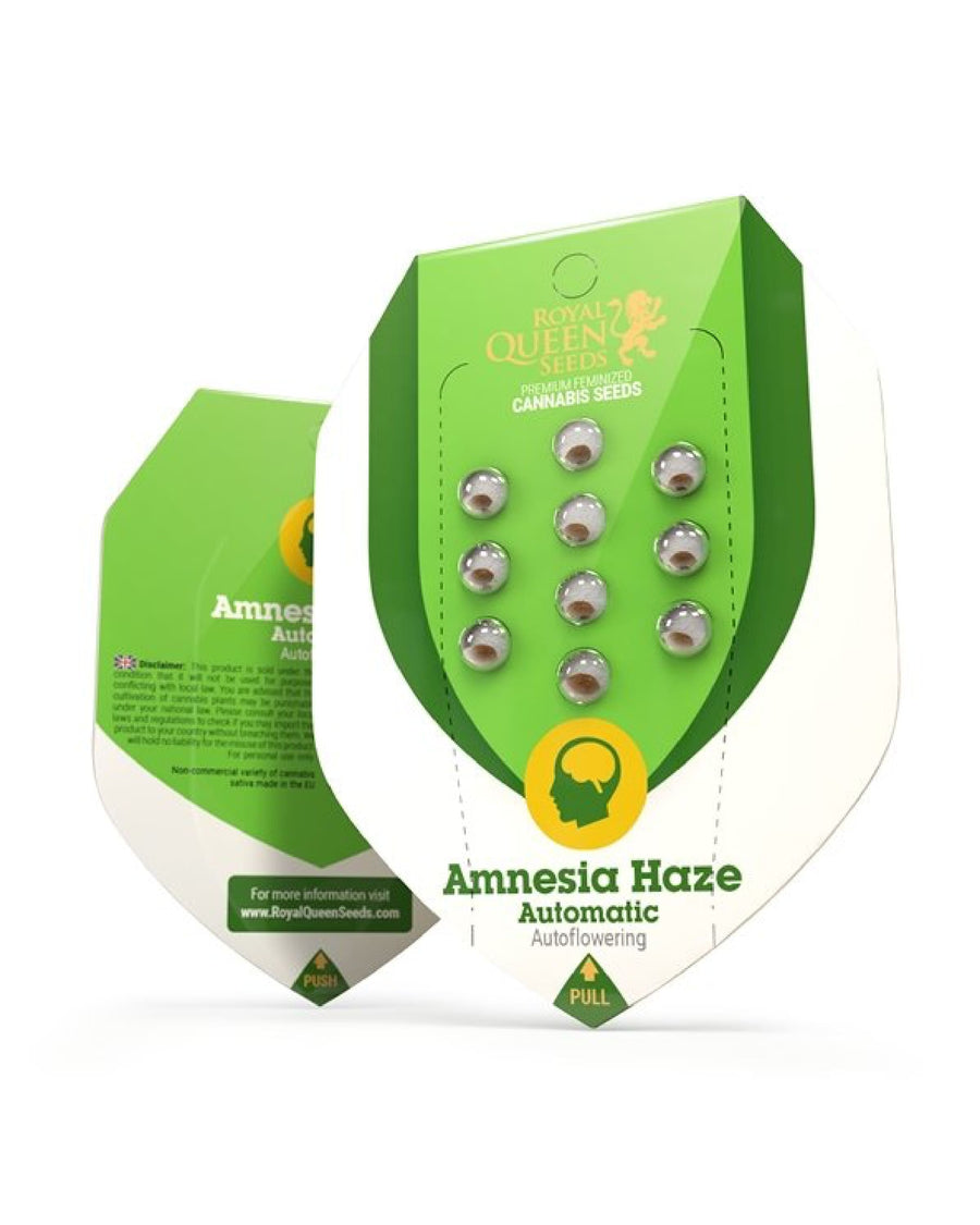 Amnesia Haze - Auto-Flo THC- 10 Graines - Happy Hemp & Co