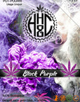 Black Purple - GreenHouse / Pro - Happy Hemp & Co
