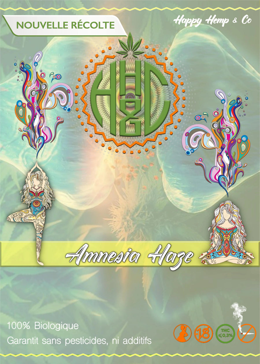 Amnesia Haze - Indoor - Happy Hemp & Co